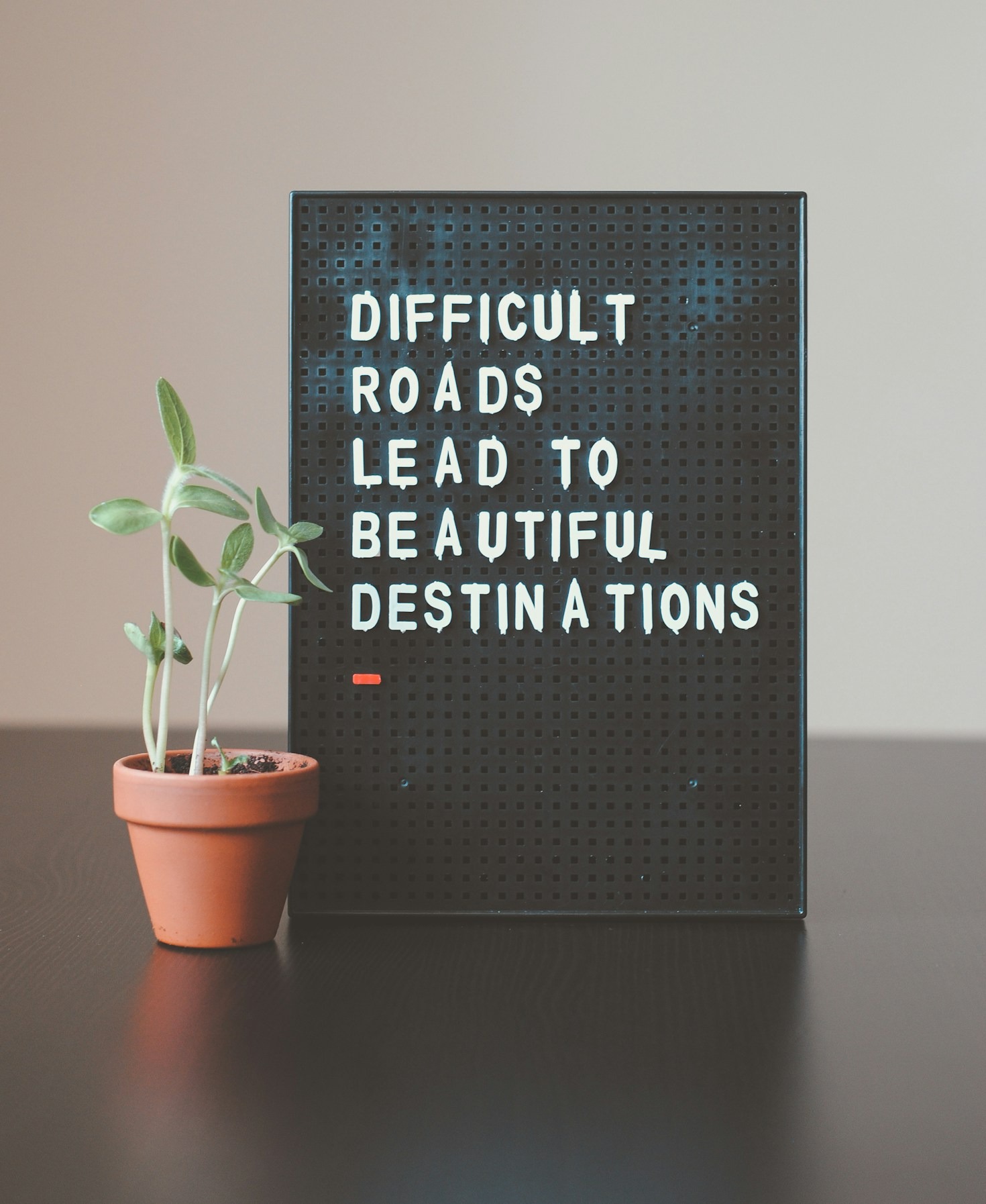 Building a Growth Mindset with Expert Guidance